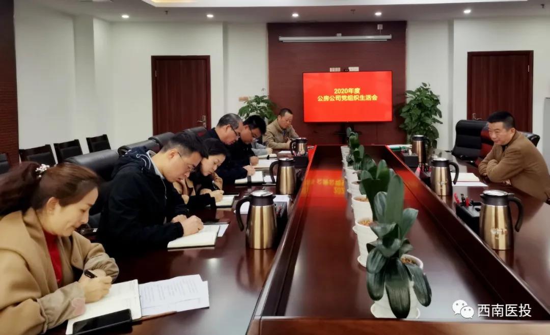 西南醫(yī)投集團(tuán)各基層黨支部召開(kāi)2020年度組織生活會(huì)、開(kāi)展民主評(píng)議黨員工作